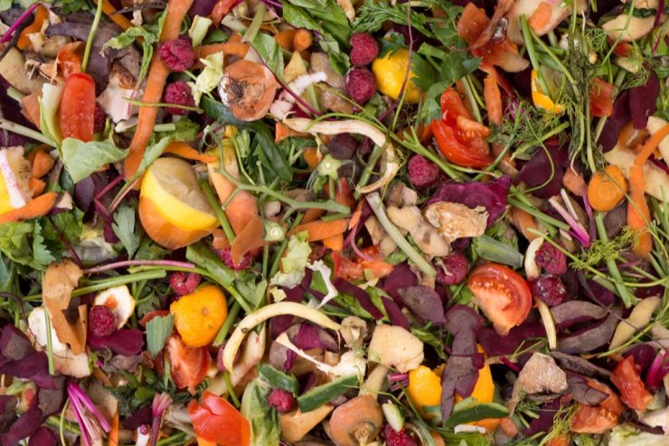 Food waste